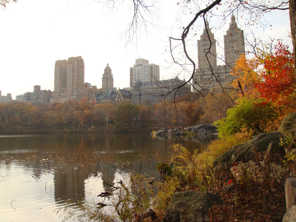 Central park